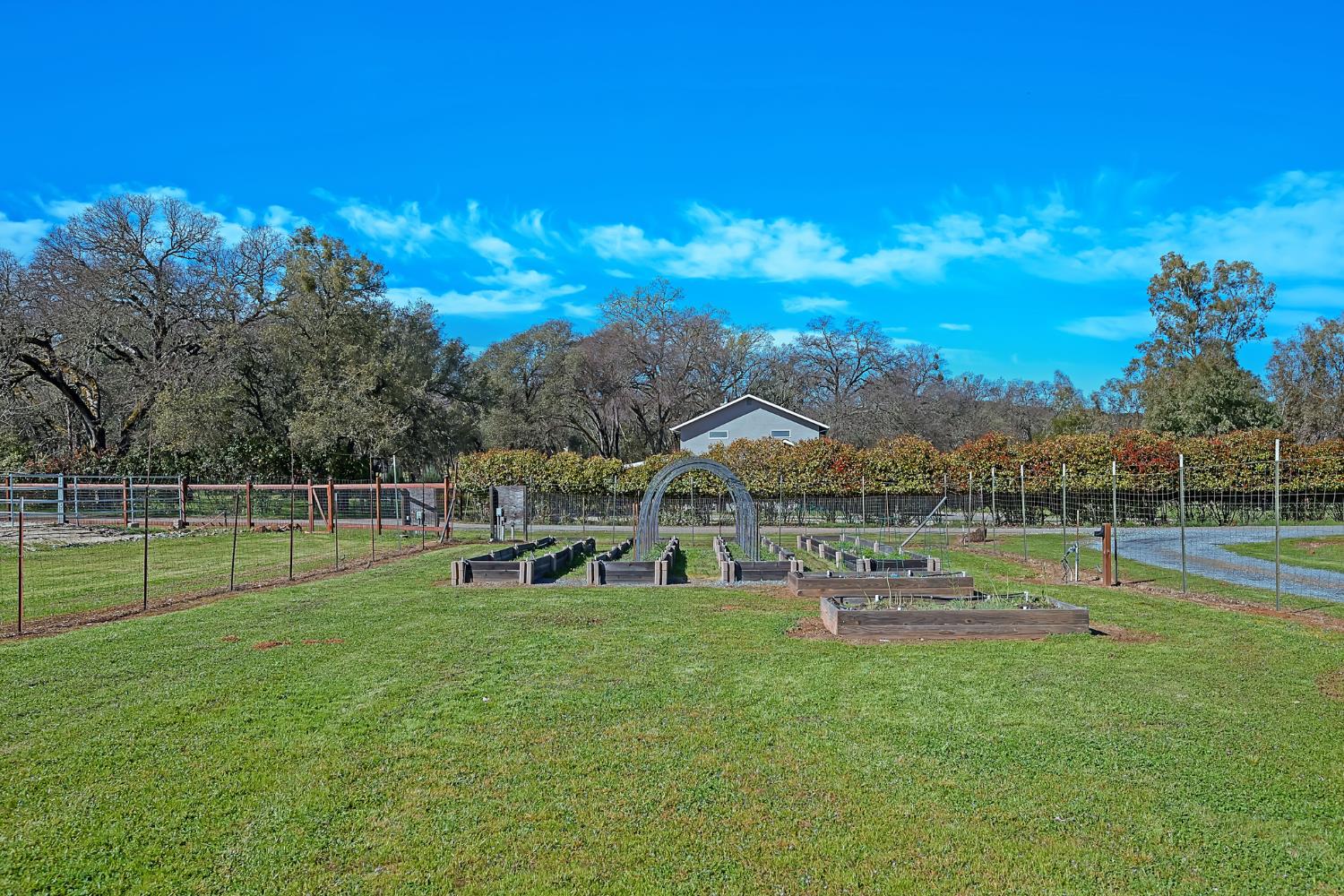 2847 Sierra Vista Road Rescue, CA 95672 - Photo 37 of 69 a view of a house with a big yard