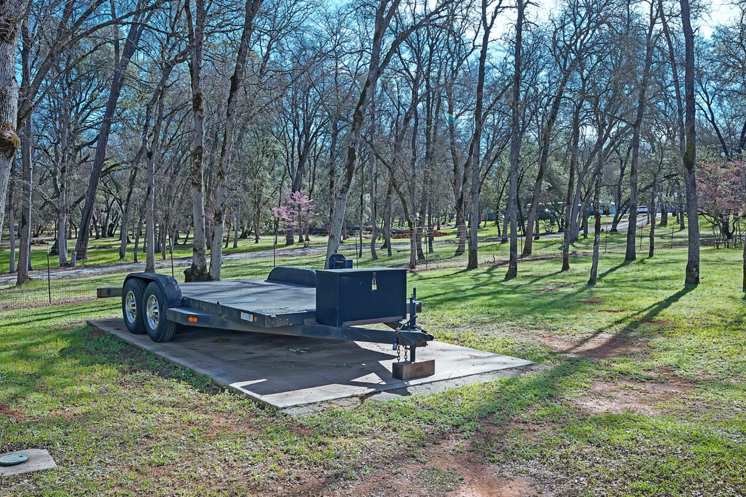 2847 Sierra Vista Road Rescue, CA 95672 - Photo 47 of 69 a view of a park with large trees