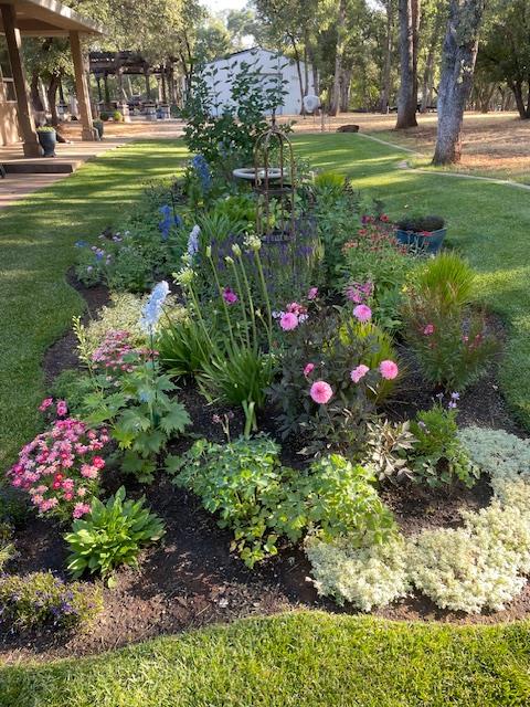 2847 Sierra Vista Road Rescue, CA 95672 - Photo 66 of 69