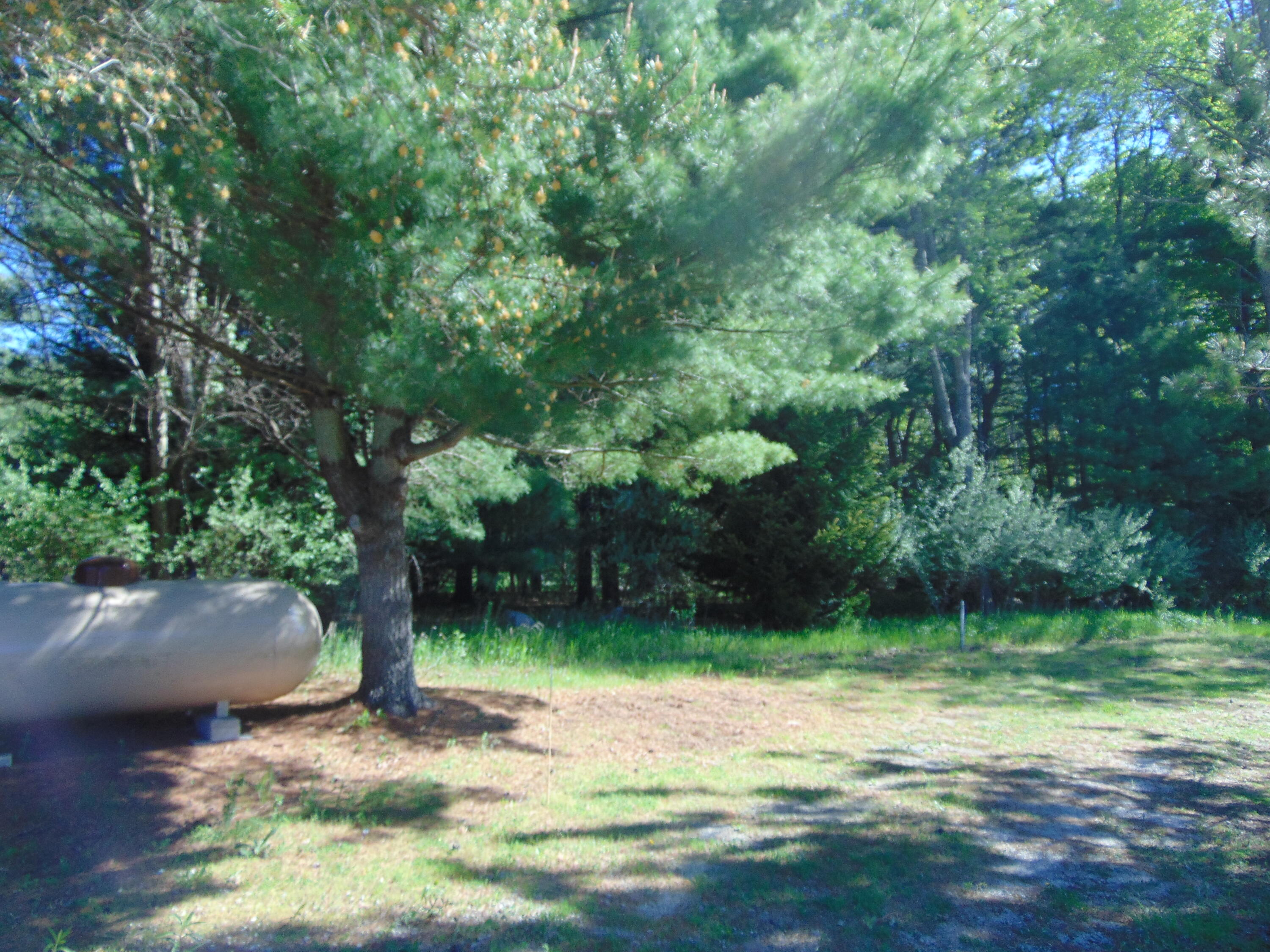 1595 South Poor Farm Road Mikado, MI 48745 - Photo 27 of 78 DSC05271