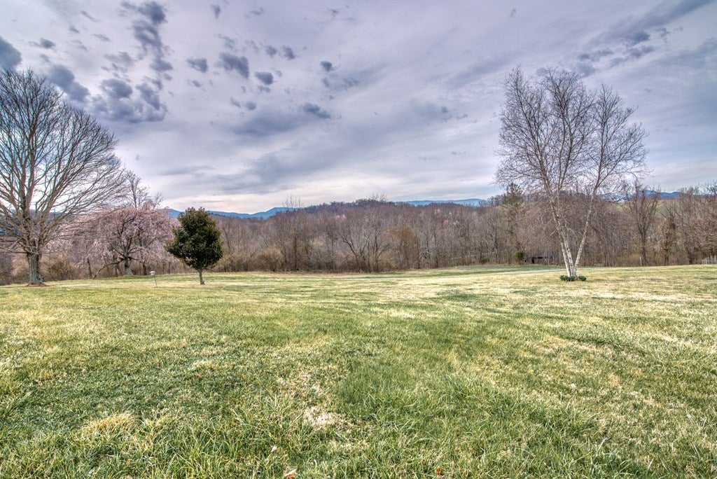 257 Red Stone Road Chilhowie, VA 24319 - Photo 2 of 35 Gallery Image 2