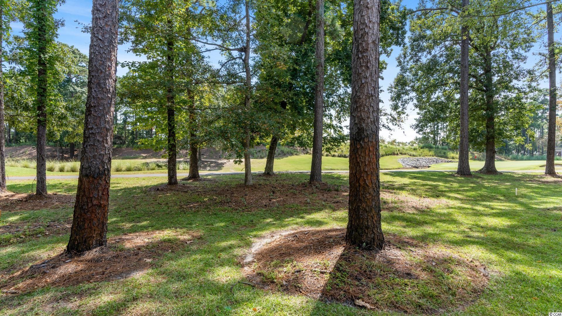 702 Pipers Lane, Unit 702 Myrtle Beach, SC 29575 - Photo 24 of 37