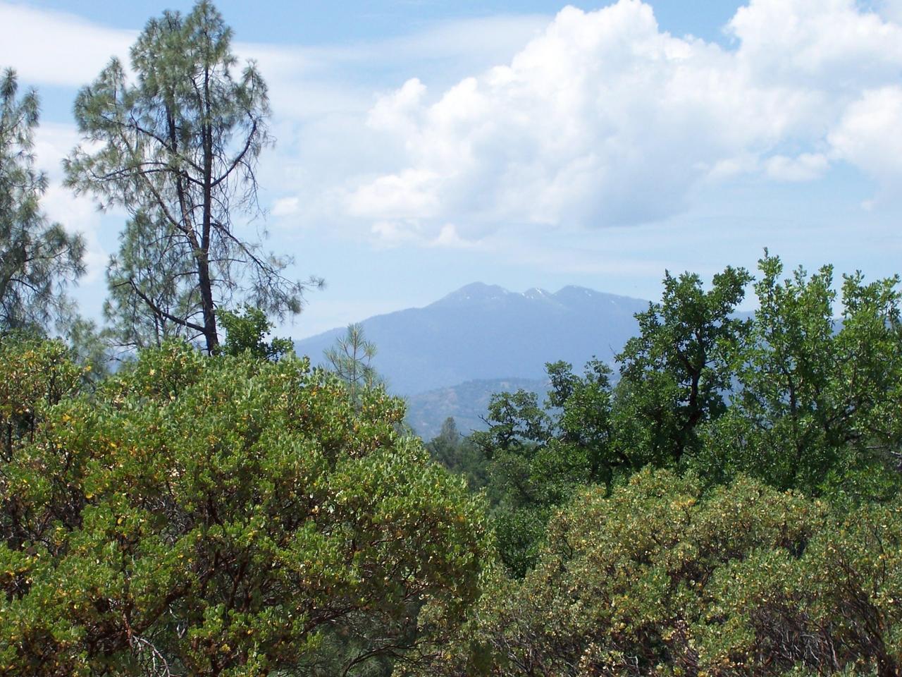 0 Small Farms Road Igo, CA 96047 - Photo 4 of 5 View