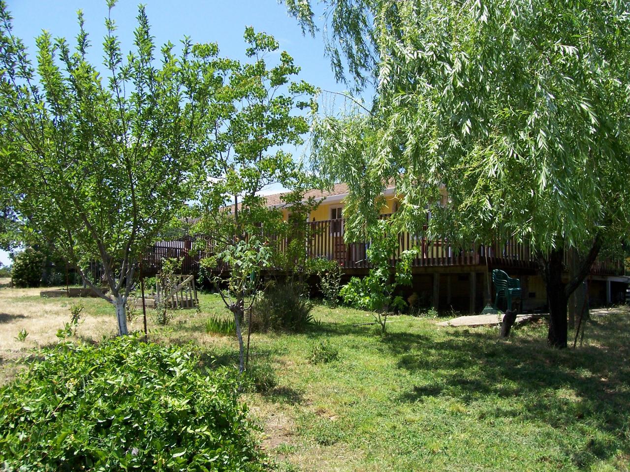 0 Small Farms Road Igo, CA 96047 - Photo 5 of 5 .Back Yard
