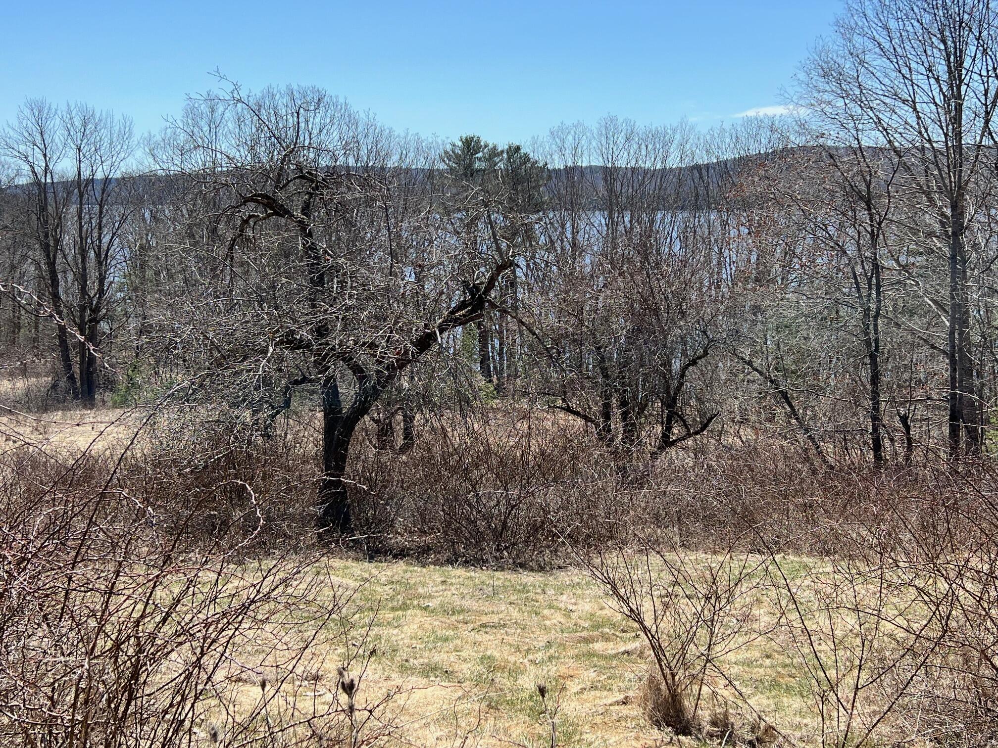 614 River Road Bucksport, ME 04416 - Photo 37 of 41 37