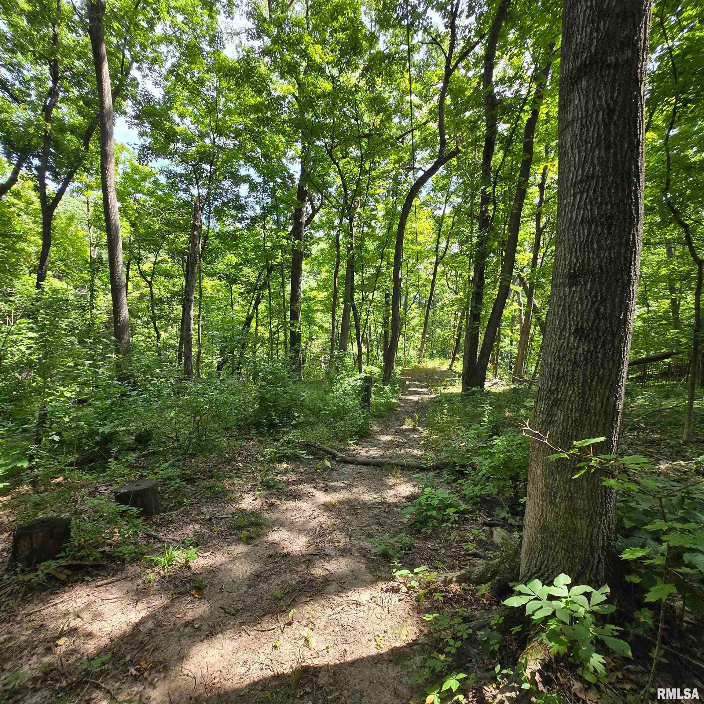 309 West Eagle Nest Road Dunlap, IL 61525 - Photo 60 of 76 Gallery Image 60