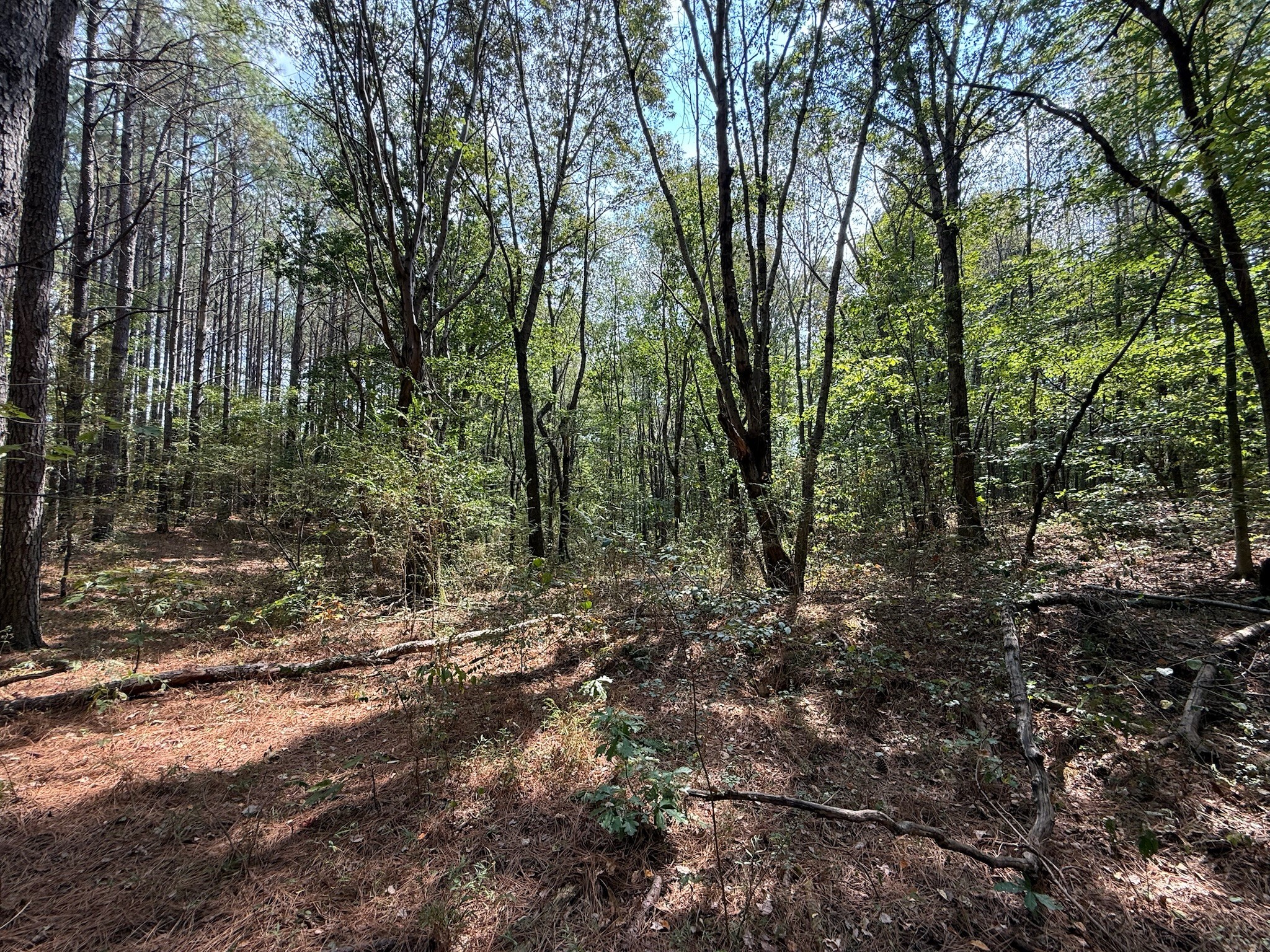 145 Brier Hill Road Ethridge, TN 38456 - Photo 21 of 64