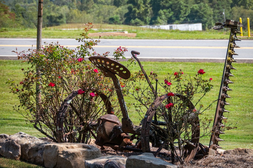 1201 Ada Street Blue Ridge, GA 30513 - Photo 39 of 62