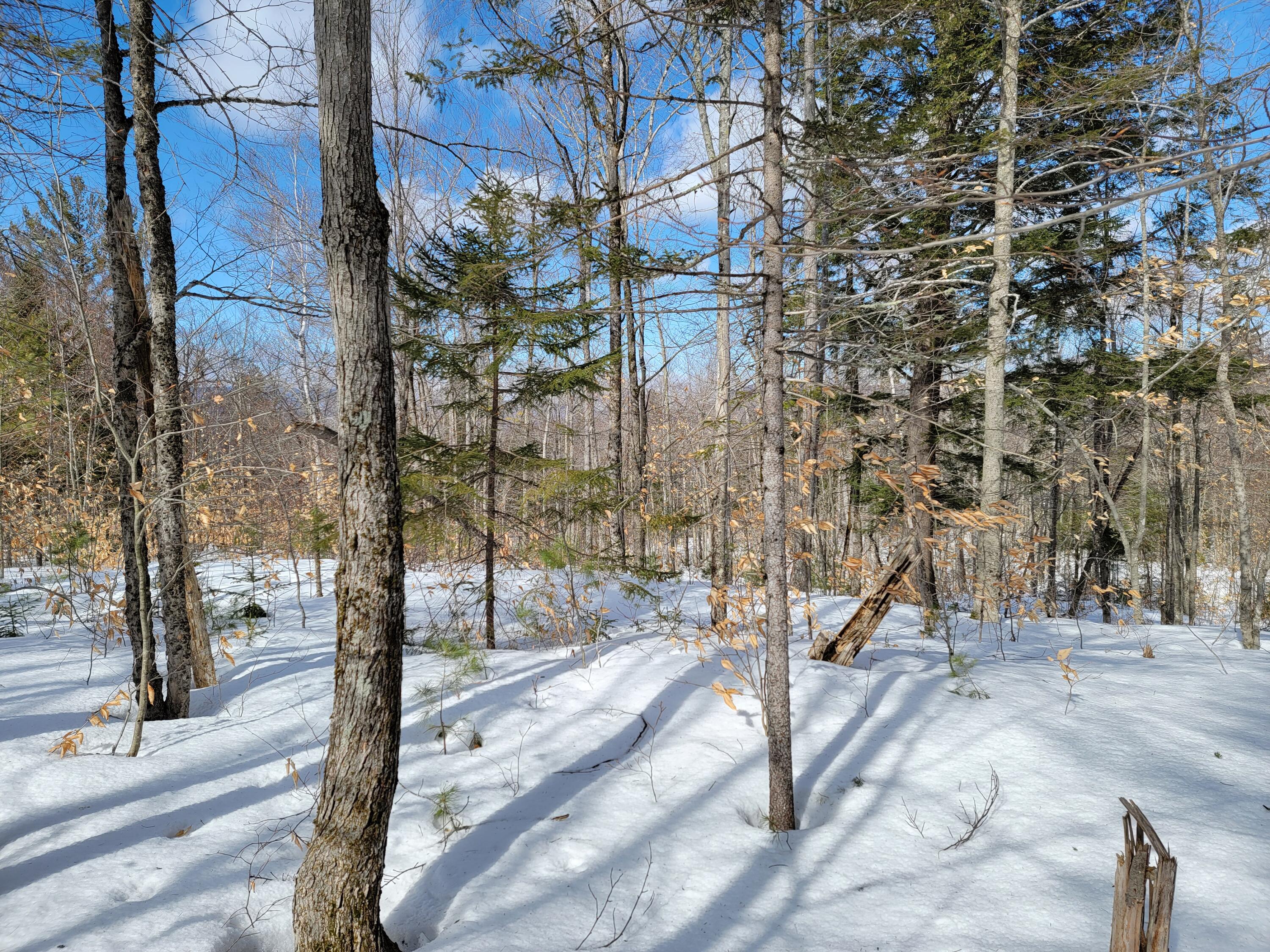 Roxbury Notch Lot 8A