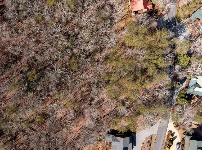 Lot 23 Blackgum Subdivision Blue Ridge Blue Ridge, GA 30513 - Photo 25 of 26
