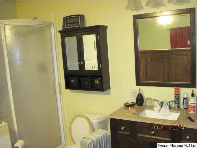 4679 Nubbin Creek Road Lineville, AL 36266 - Photo 7 of 18