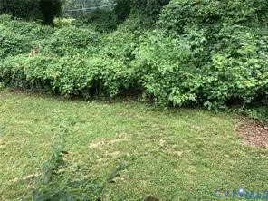 3317 Waverly Boulevard, Unit B Richmond, VA 23222 - Photo 34 of 36 a view of a garden