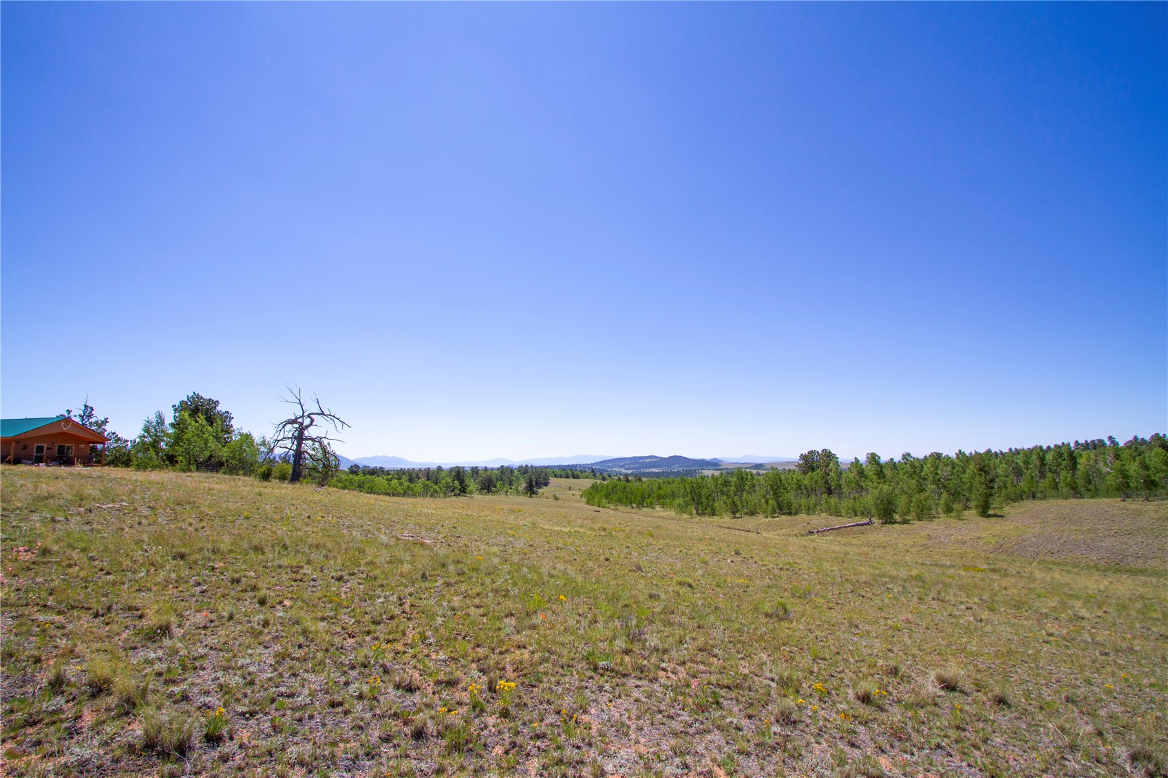 4134 Buffalo Ridge Road Como, CO 80432 - Photo 36 of 41 Gallery Image 36