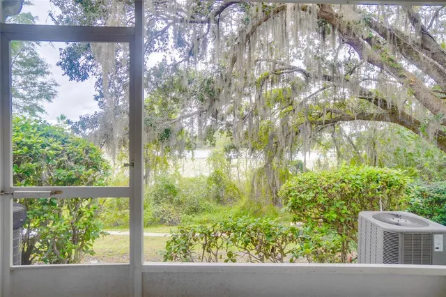 a view of a garden from a window