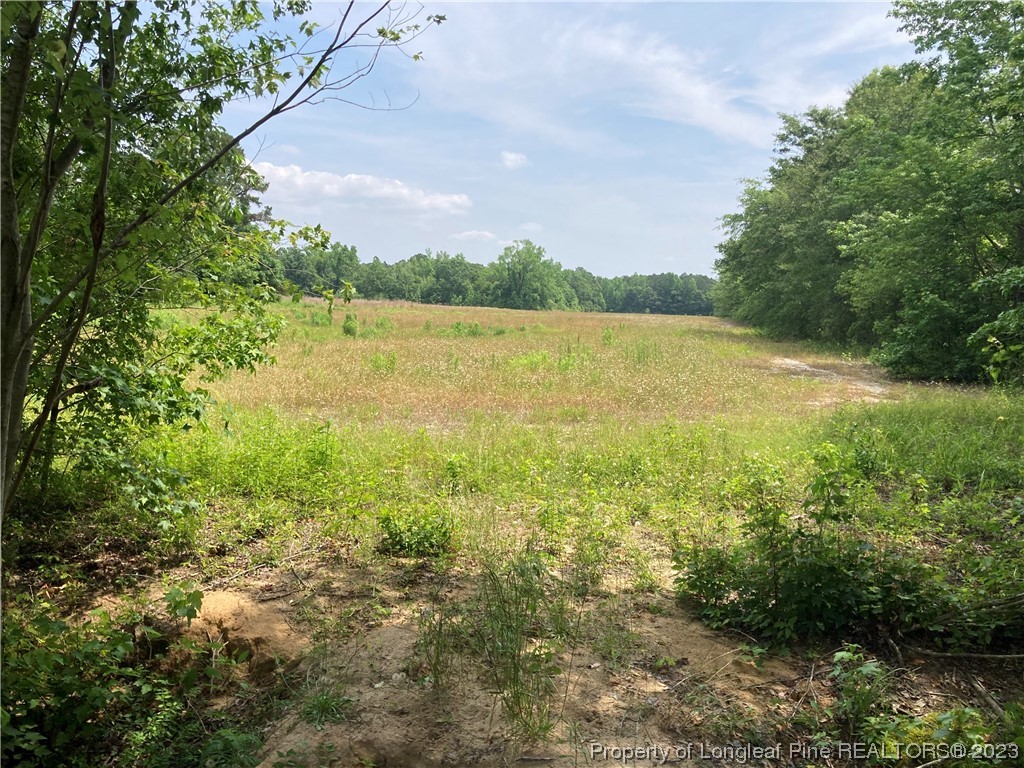 Lot 14 Mill Branch Road Fairmont, NC 28340 - Photo 1 of 15 a view of a lake with a yard