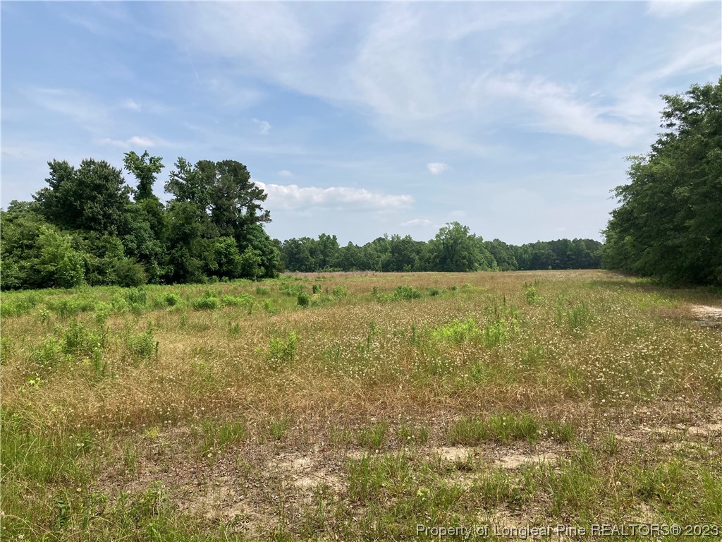 Lot 14 Mill Branch Road Fairmont, NC 28340 - Photo 5 of 15 a view of a lake with houses in the back