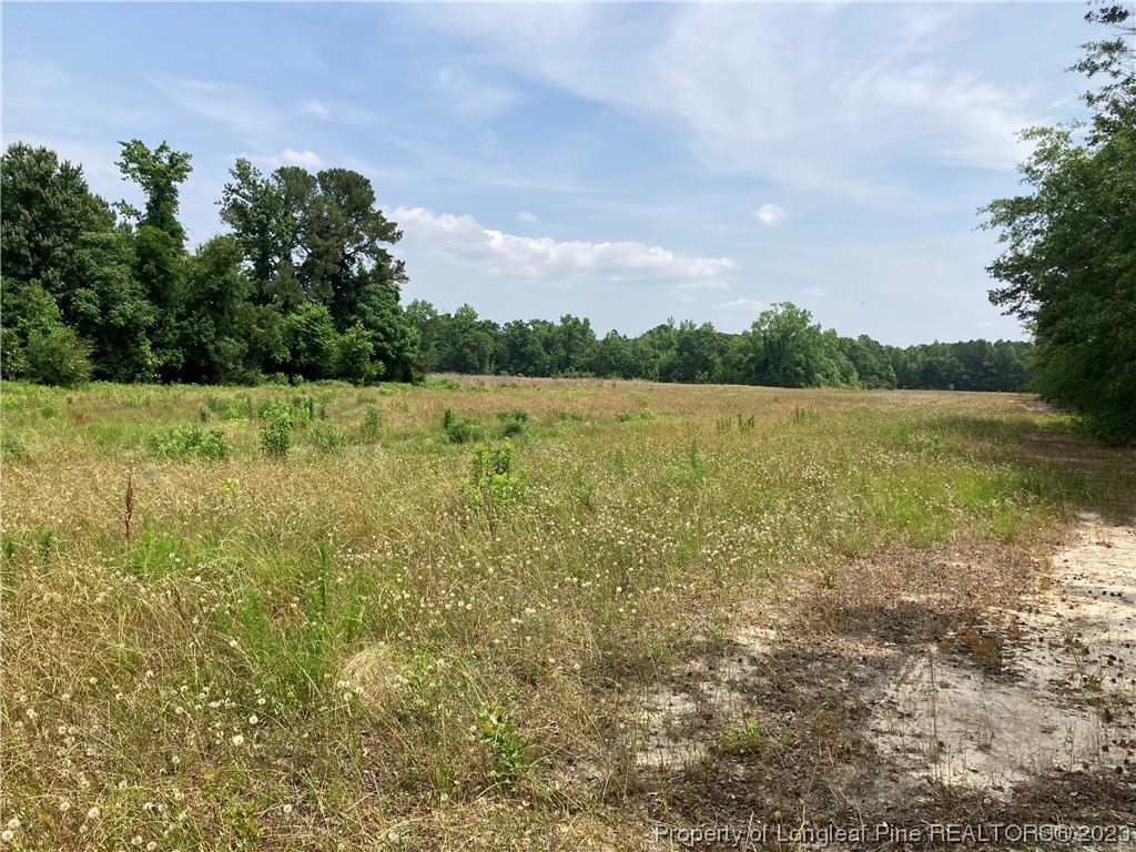 Lot 14 Mill Branch Road Fairmont, NC 28340 - Photo 7 of 15 a view of an ocean and beach