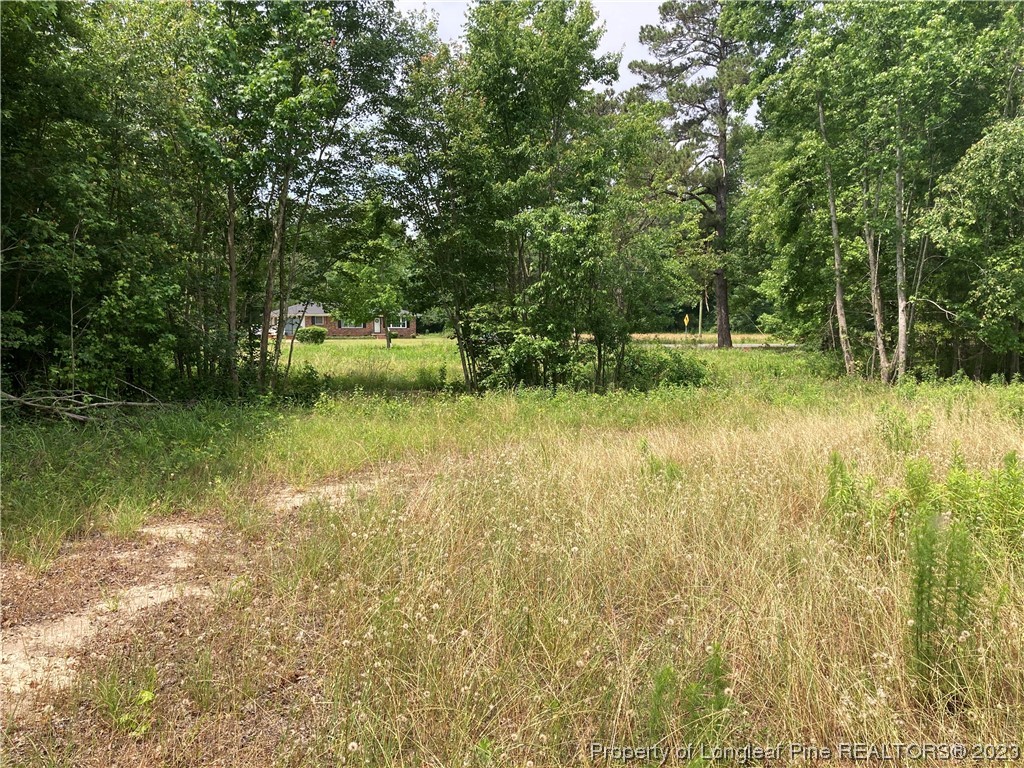 Lot 14 Mill Branch Road Fairmont, NC 28340 - Photo 8 of 15 a view of yard with green space