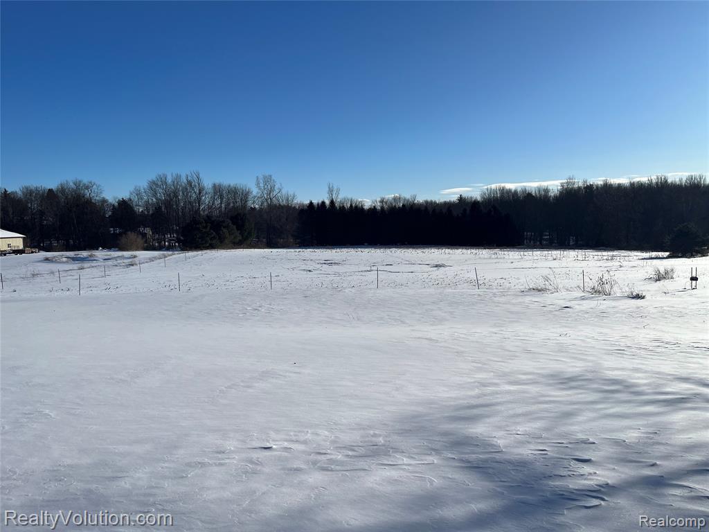 4850 East Burnside Road North Branch, MI 48461 - Photo 18 of 22 Gallery Image 18