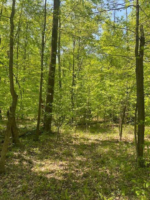 0 3255 East Lemon Road Madison, IN 47250 - Photo 23 of 32