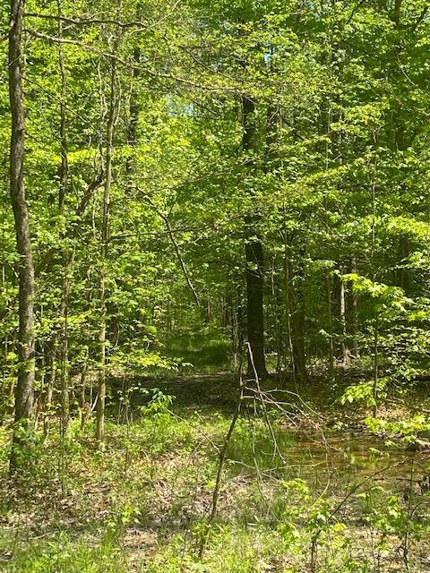 0 3255 East Lemon Road Madison, IN 47250 - Photo 10 of 32