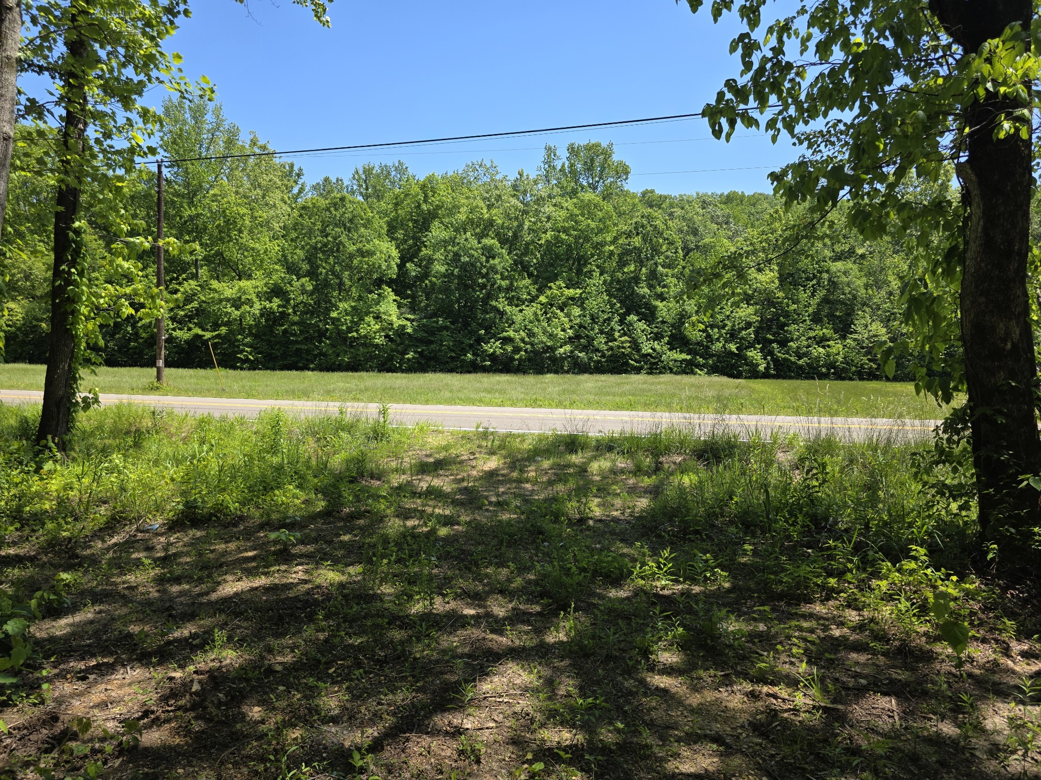 0 Birdsong Road Holladay, TN 38341 - Photo 17 of 29 Gallery Image 17