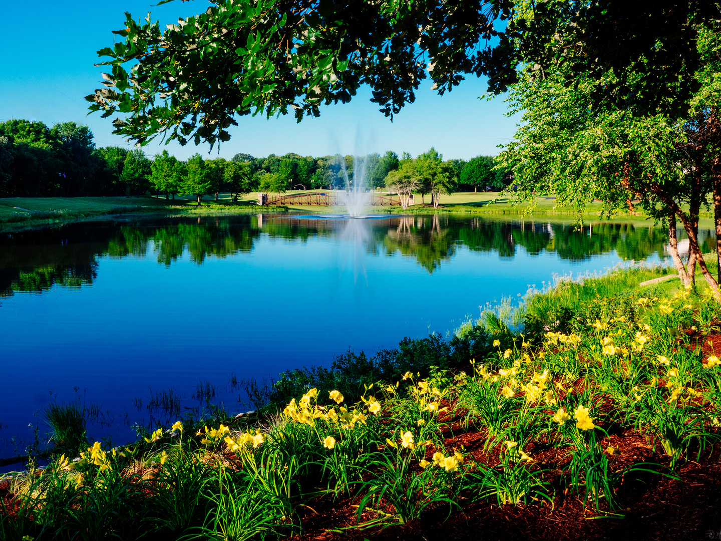 25616 West Springview Drive Plainfield, IL 60586 - Photo 19 of 23 a view of a lake with a house in the background