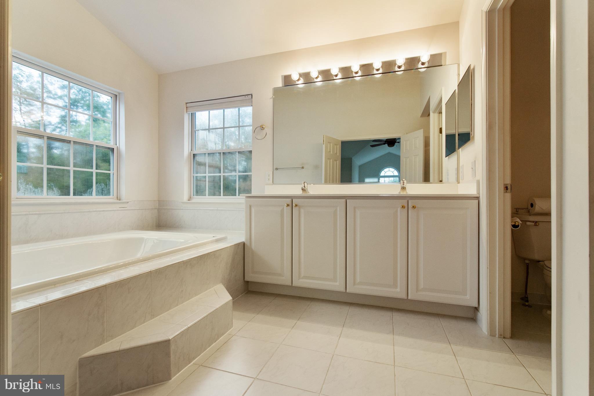 14213 Punch Street Silver Spring, MD 20906 - Photo 25 of 29 Bath (Master)