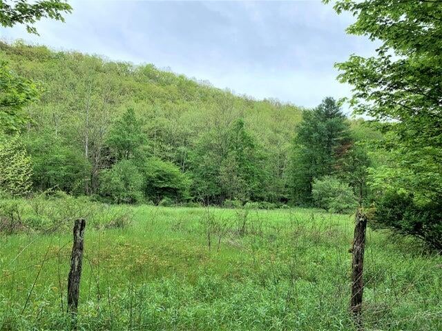 219-3 Co Route Marlinton, WV 24954 - Photo 12 of 22 Gallery Image 12
