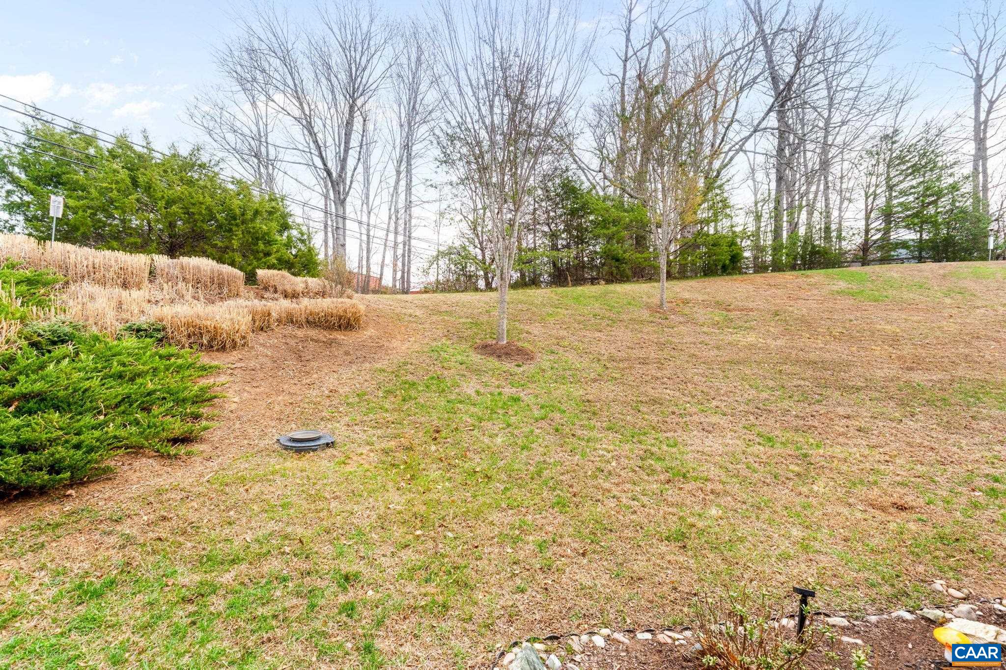 1313 Gate Post Lane Charlottesville, VA 22901 - Photo 43 of 44