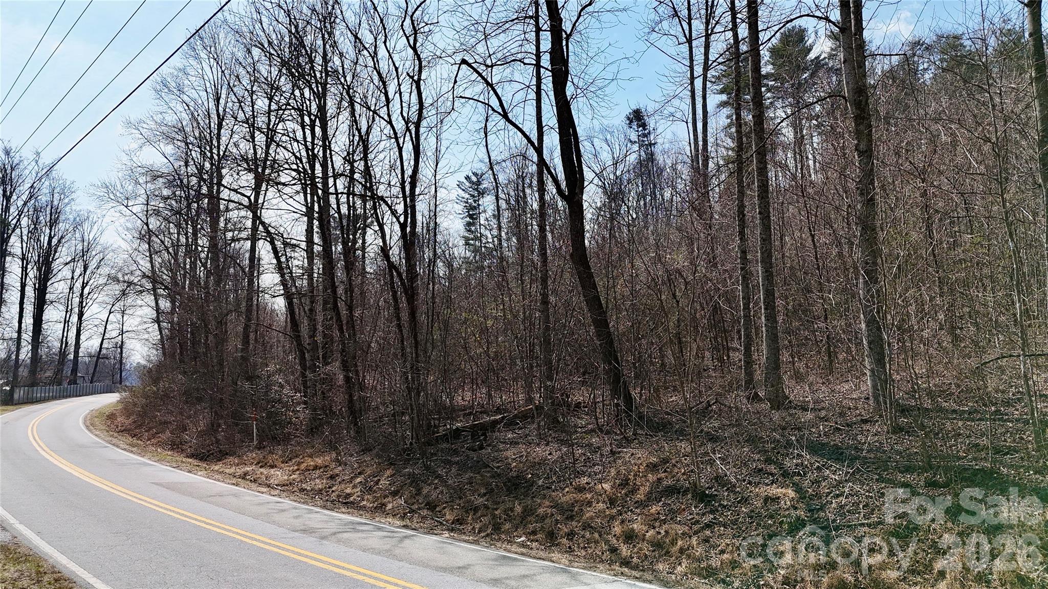 0 Lake James Road Marion, NC 28752 - Photo 8 of 13