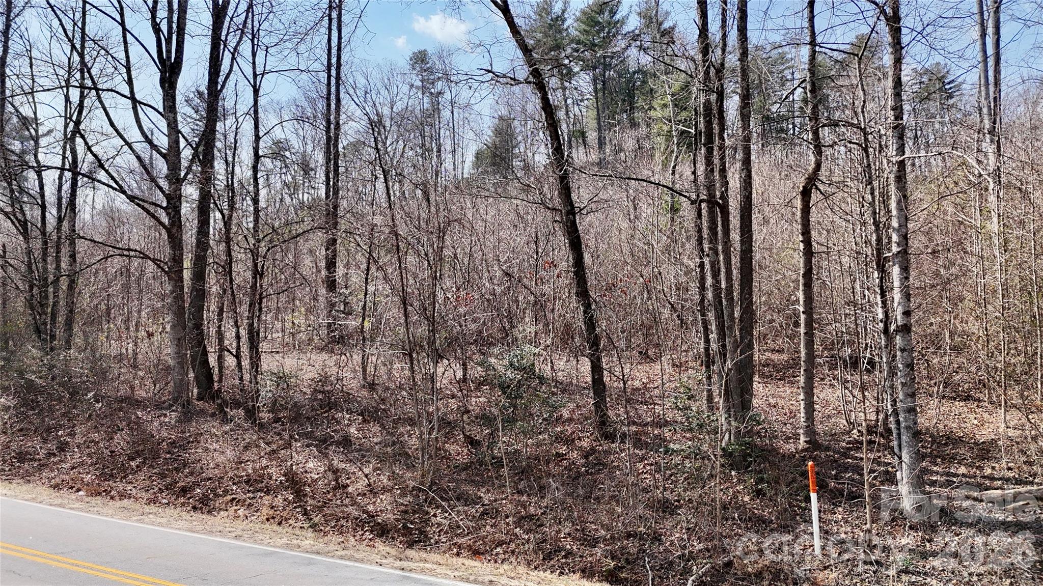 0 Lake James Road Marion, NC 28752 - Photo 9 of 13