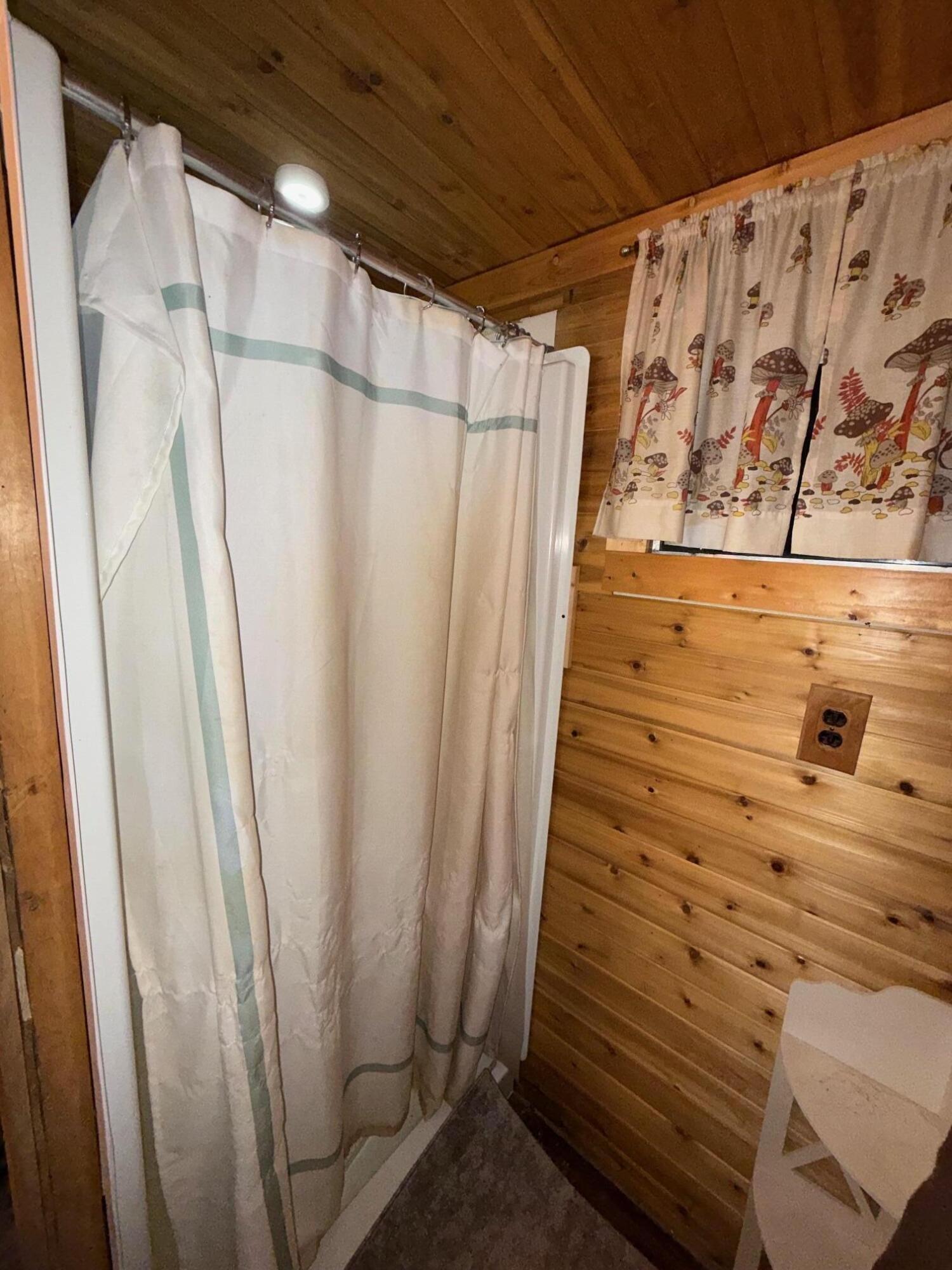 7139 West 5 Mile Road Irons, MI 49644 - Photo 20 of 30 image3