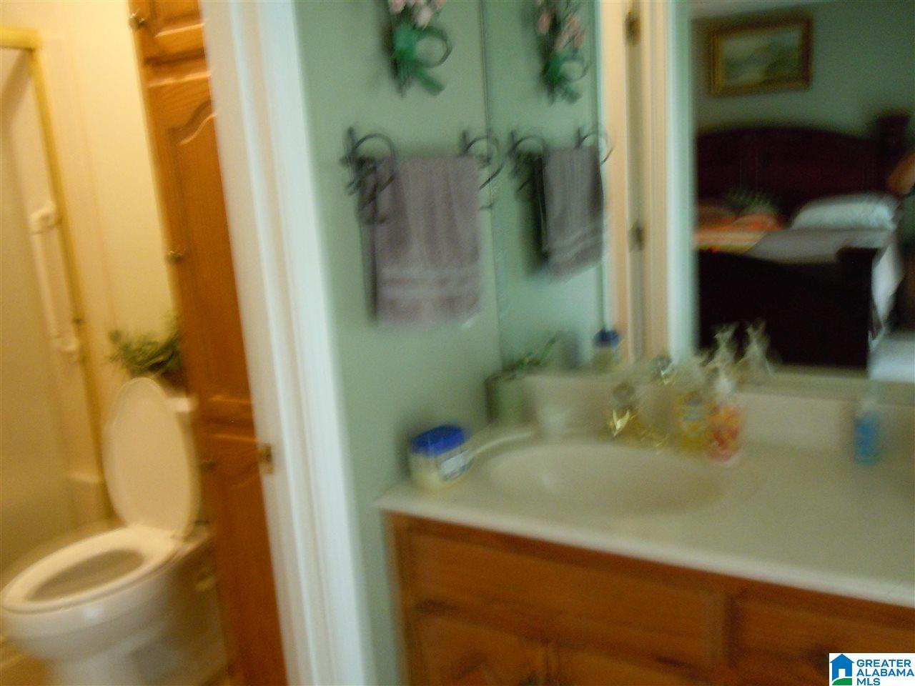 199 Oak Grove Road Springville, AL 35146 - Photo 6 of 17 Gallery Image 6