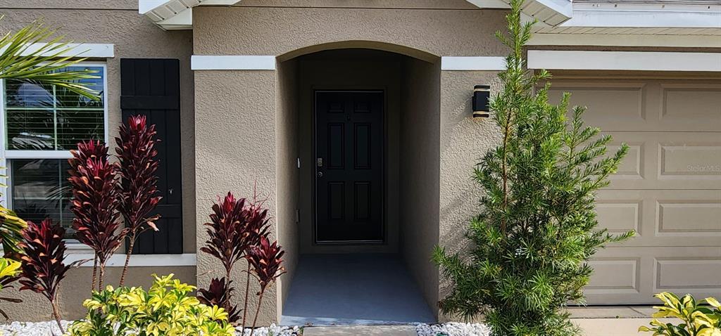 16778 Carlton Pond Street Wimauma, FL 33598 - Photo 6 of 27 a potted plant sitting in front of a house
