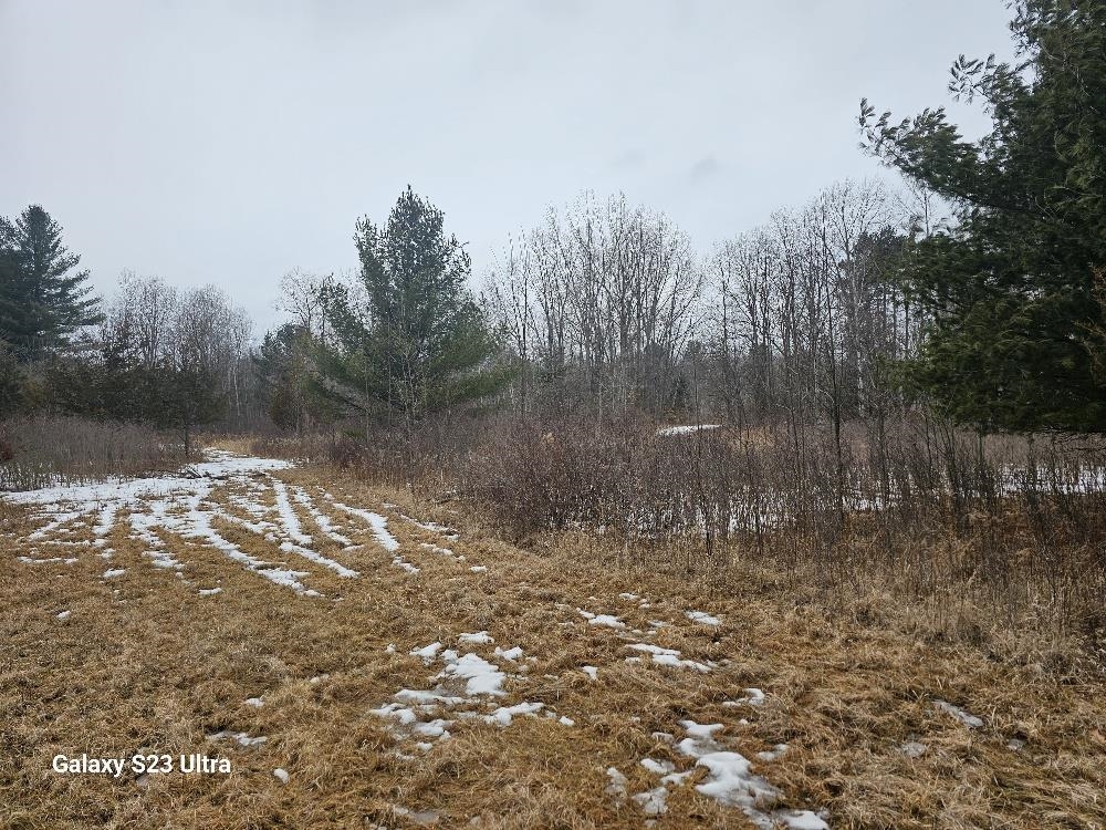 Three 3 Rivers Road Gladwin, MI 48624 - Photo 7 of 13