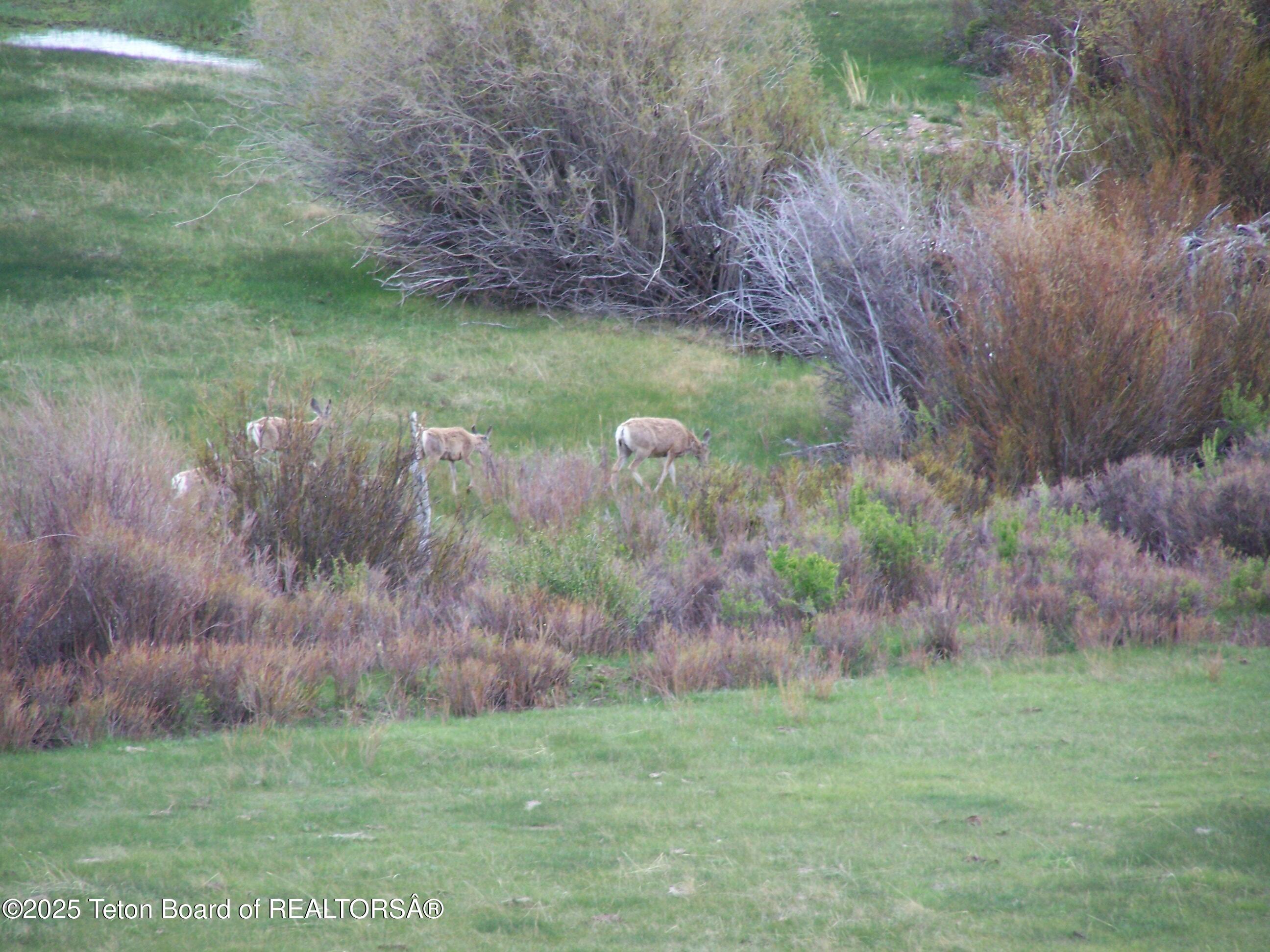 139 North Piney Lake Road Big Piney, WY 83113 - Photo 39 of 40 100_6102