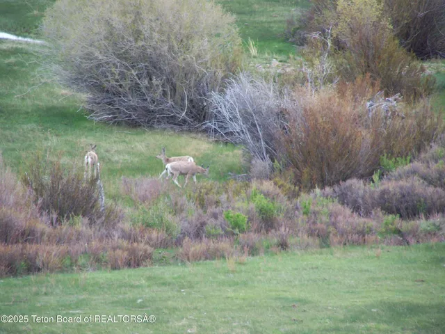 $5,750,000 | 139 North Piney Lake Road, Big Piney, WY 83113