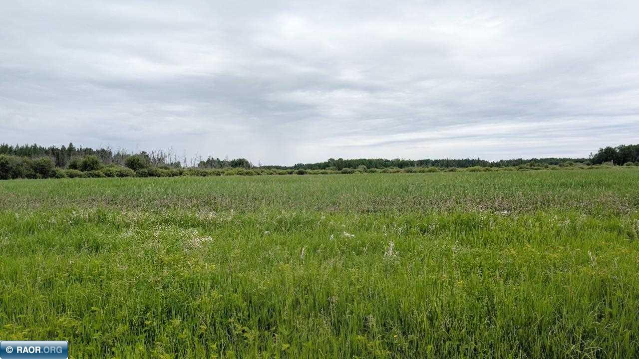 10211 Leander Road Angora, MN 55703 - Photo 1 of 9