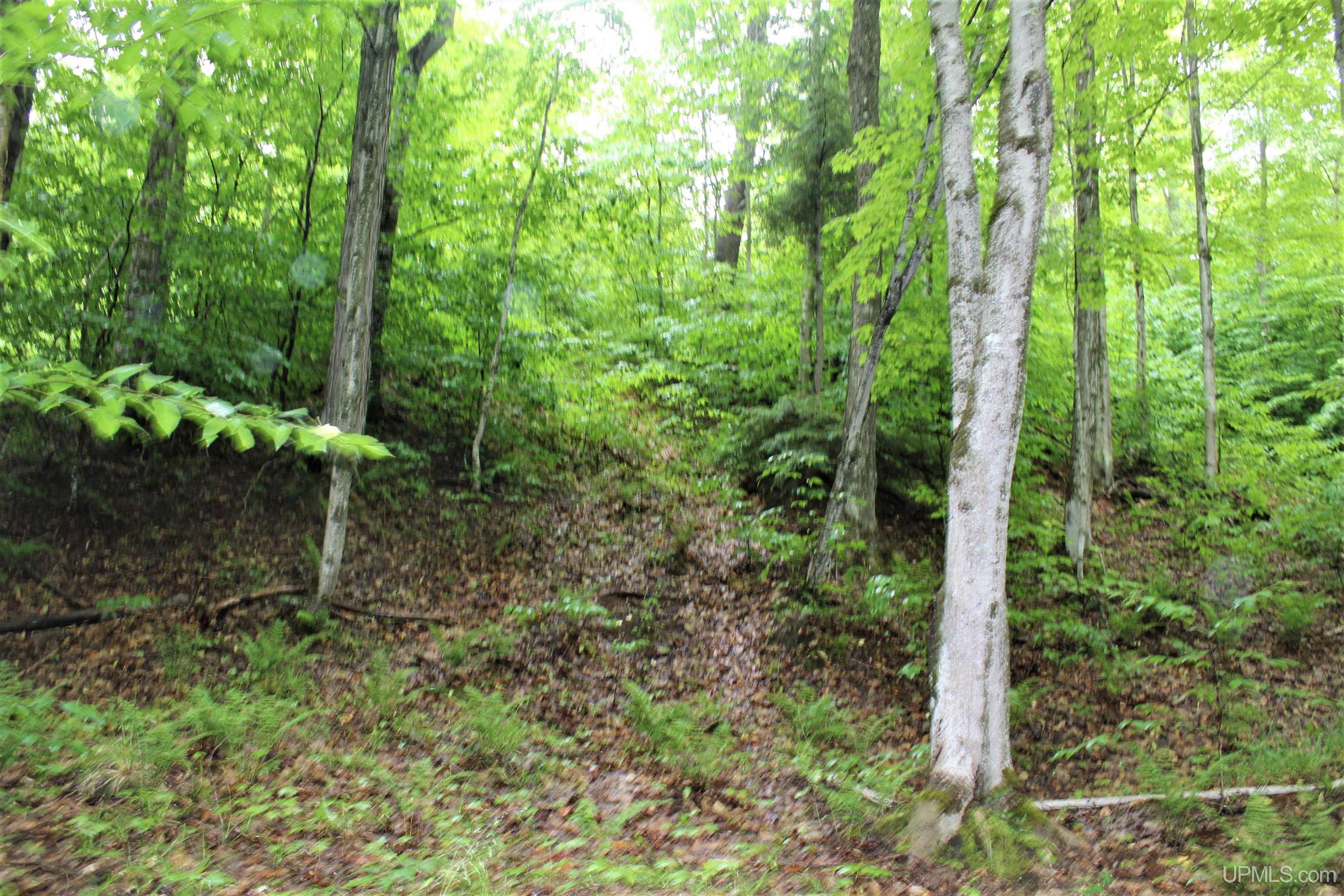 On Gage Road Munising, MI 49862 - Photo 12 of 17