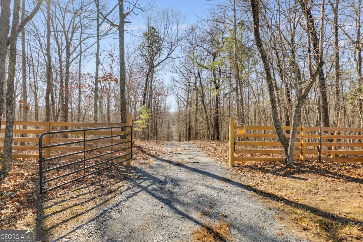 710 Wildcat Road Buchanan, GA 30113 - Photo 1 of 1 a backyard of a house