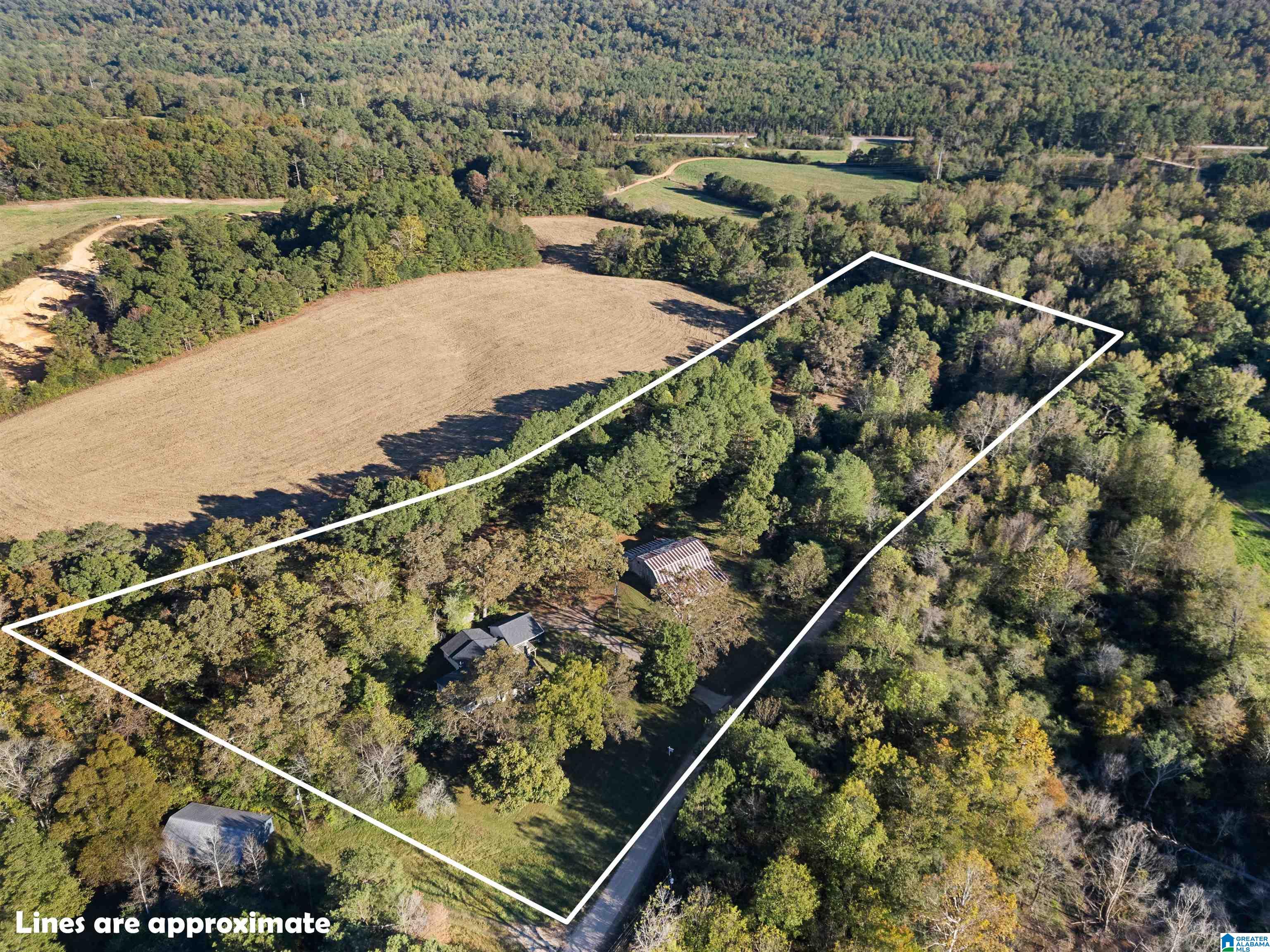 550 Hale Creek Road Altoona, AL 35952 - Photo 12 of 54