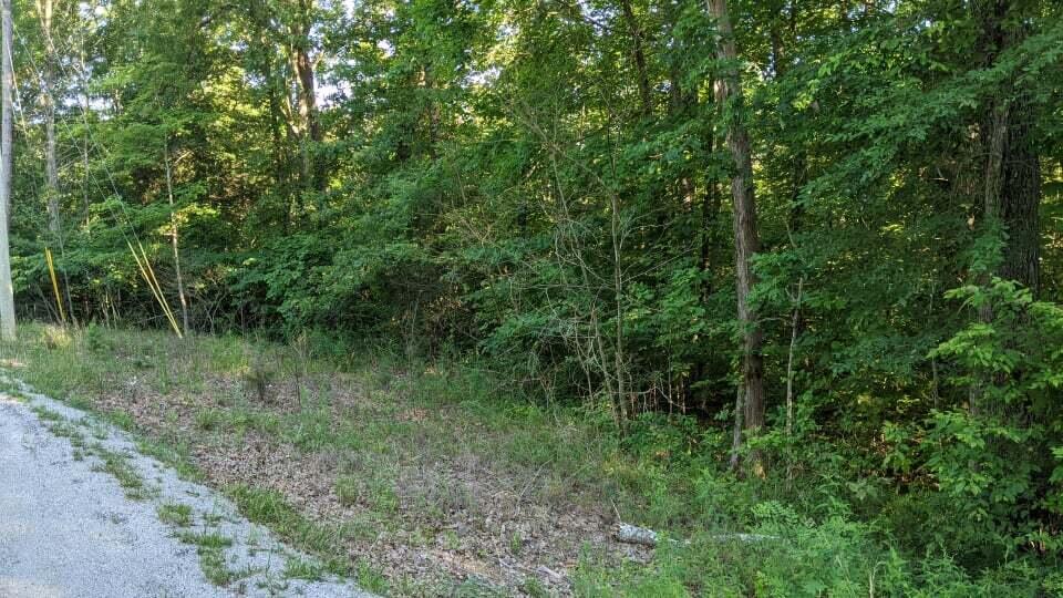 Chinkapin Trail Monterey, TN 38574 - Photo 6 of 10 218283571_215848110433936_15942796389031