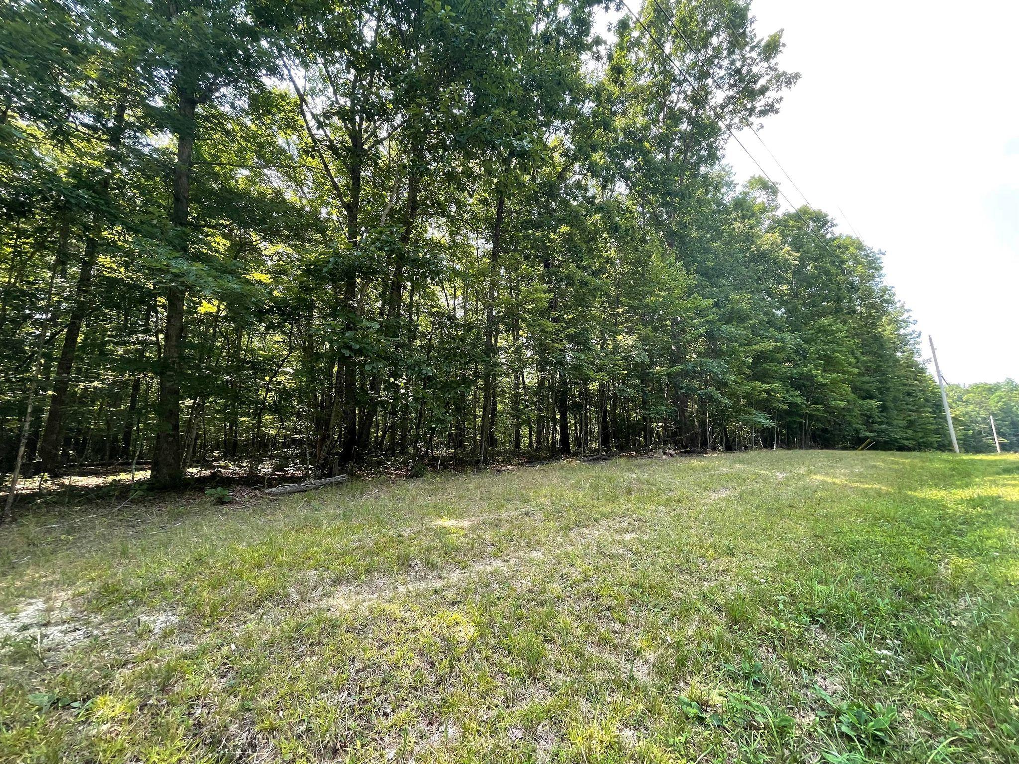 Chinkapin Trail Monterey, TN 38574 - Photo 10 of 10 219328368_502677810997467_63342250530207