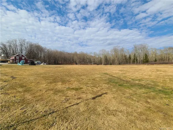 $294,500 | Mineral Springs Road, White Sulphur Springs, NY 12787