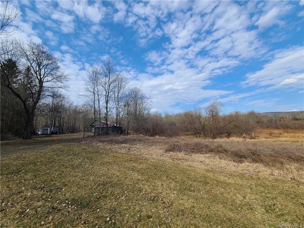 $294,500 | Mineral Springs Road, White Sulphur Springs, NY 12787