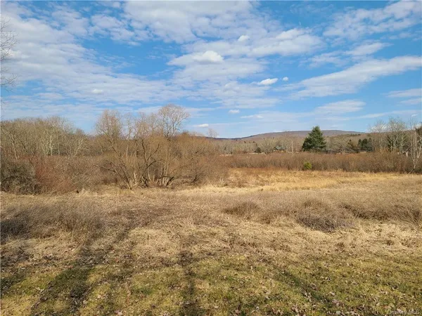 $294,500 | Mineral Springs Road, White Sulphur Springs, NY 12787