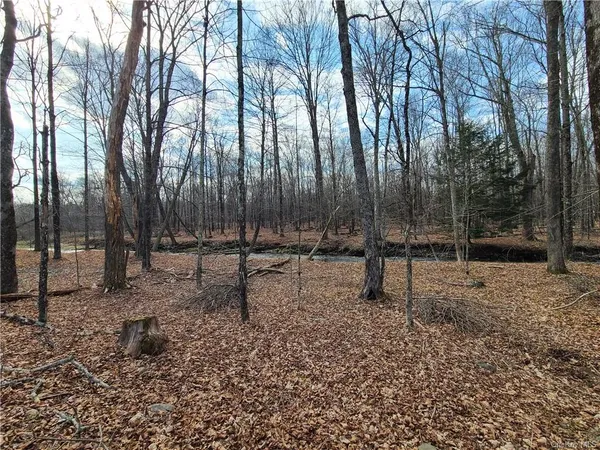$294,500 | Mineral Springs Road, White Sulphur Springs, NY 12787