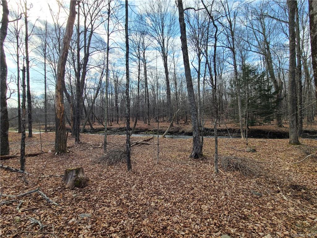 Mineral Springs Road White Sulphur Springs, NY 12787 - Photo 21 of 34