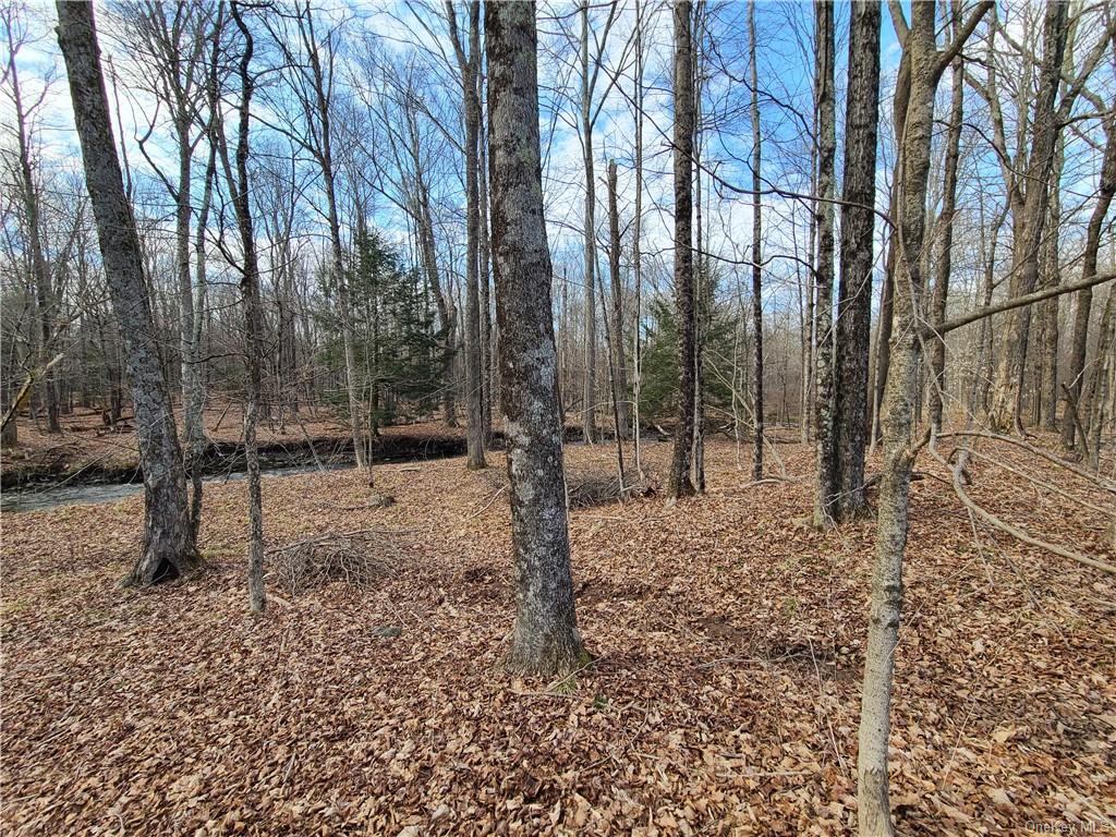 Mineral Springs Road White Sulphur Springs, NY 12787 - Photo 22 of 34